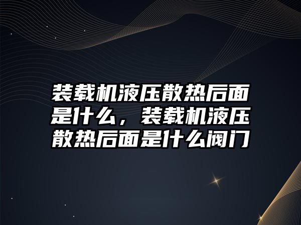 裝載機液壓散熱后面是什么，裝載機液壓散熱后面是什么閥門