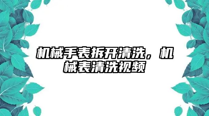 機械手表拆開清洗，機械表清洗視頻