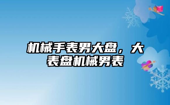 機(jī)械手表男大盤，大表盤機(jī)械男表