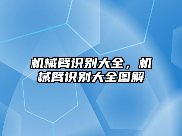 機械臂識別大全，機械臂識別大全圖解