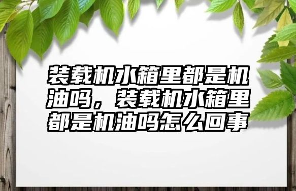 裝載機水箱里都是機油嗎，裝載機水箱里都是機油嗎怎么回事