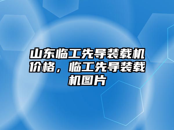 山東臨工先導(dǎo)裝載機(jī)價(jià)格，臨工先導(dǎo)裝載機(jī)圖片